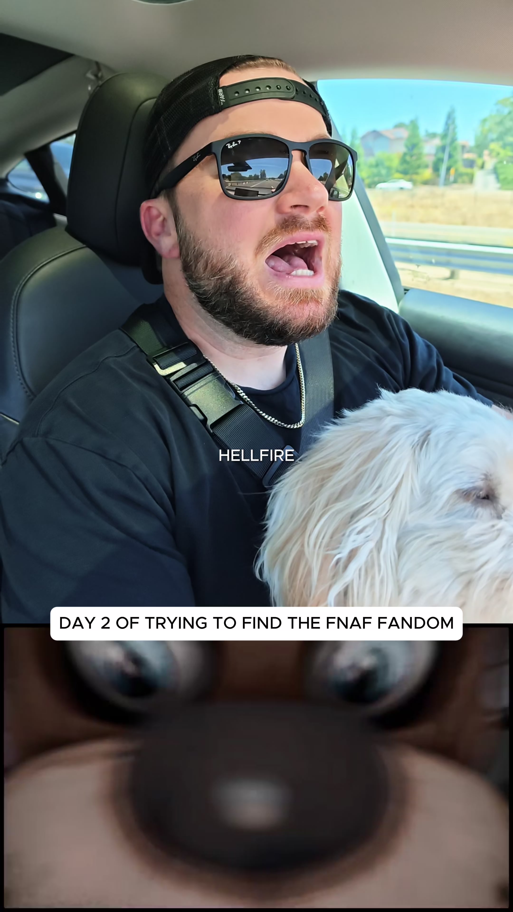 @FabvL