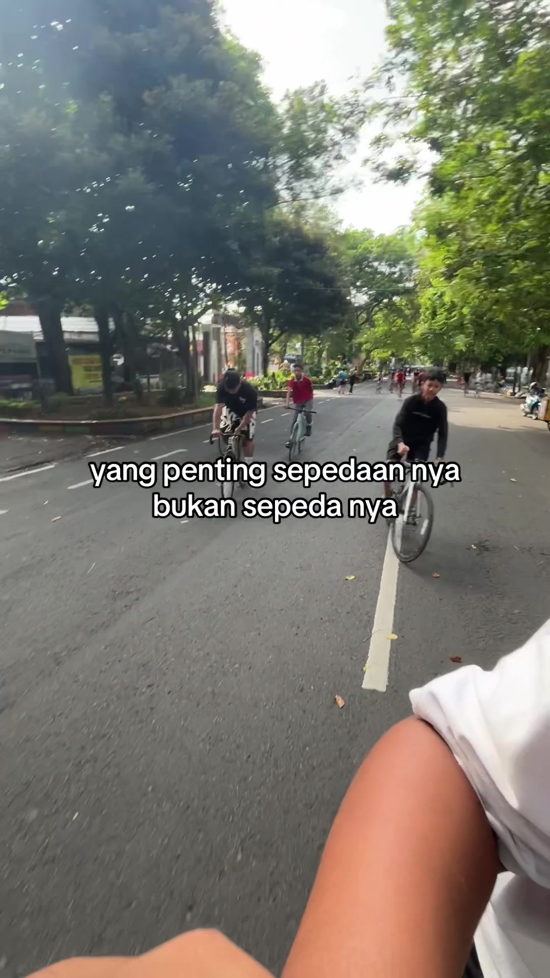 @regaa