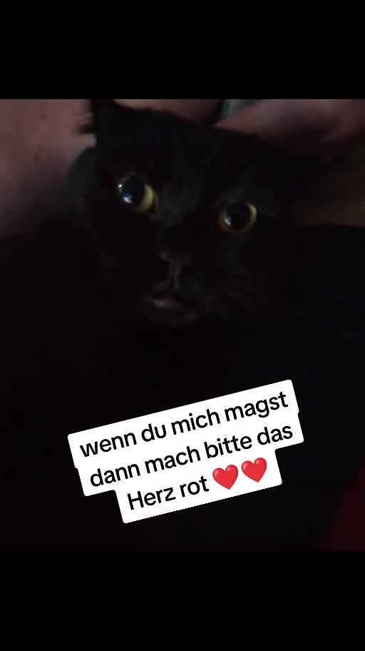 @KaR!zMa❤️🫶❤️🤭