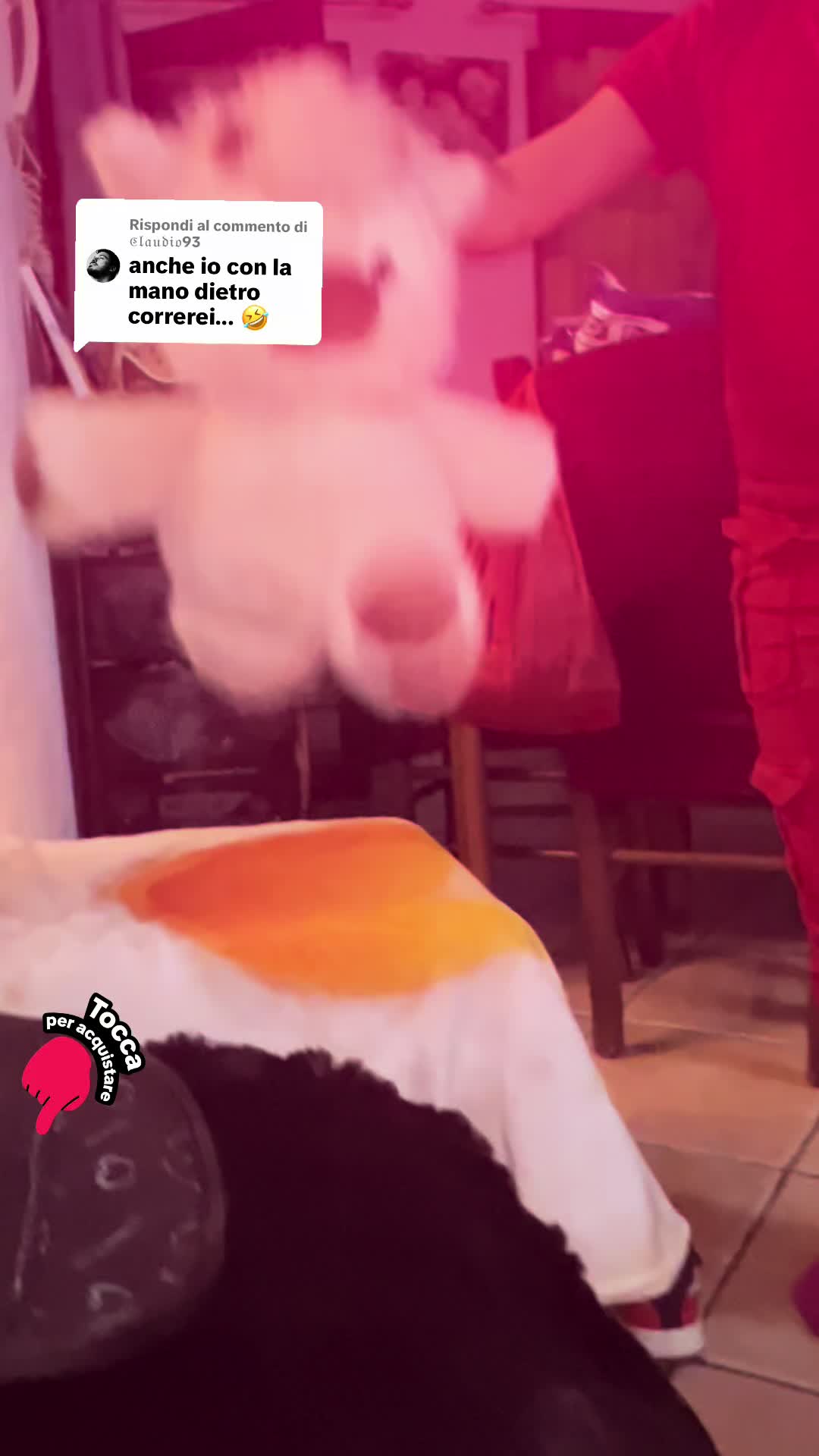 @MariaImmacolata