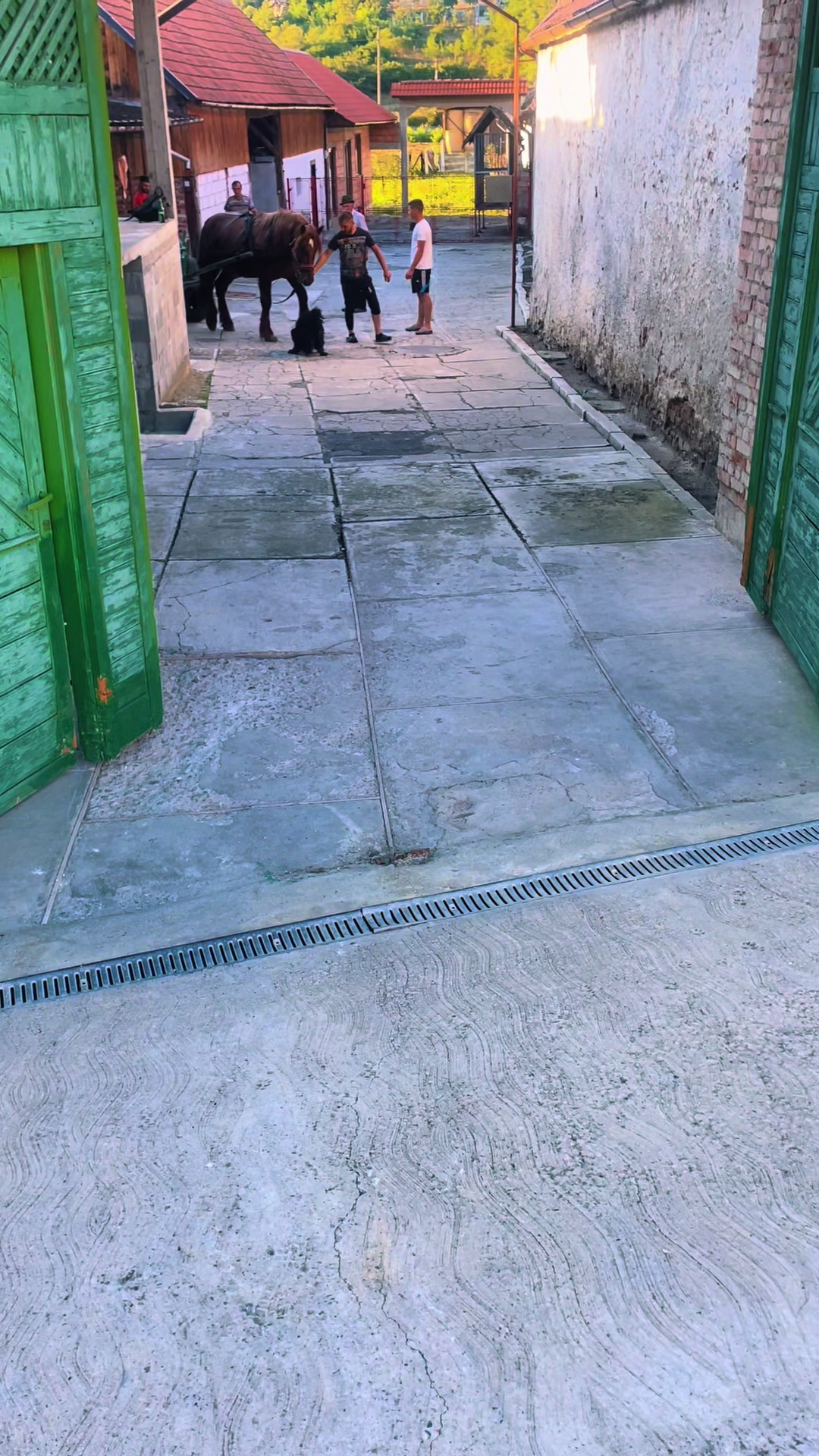 @Radu Popa