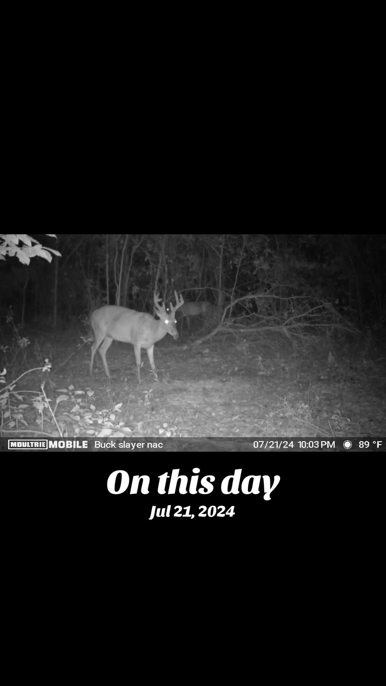@GEORGIA STRING STALKER