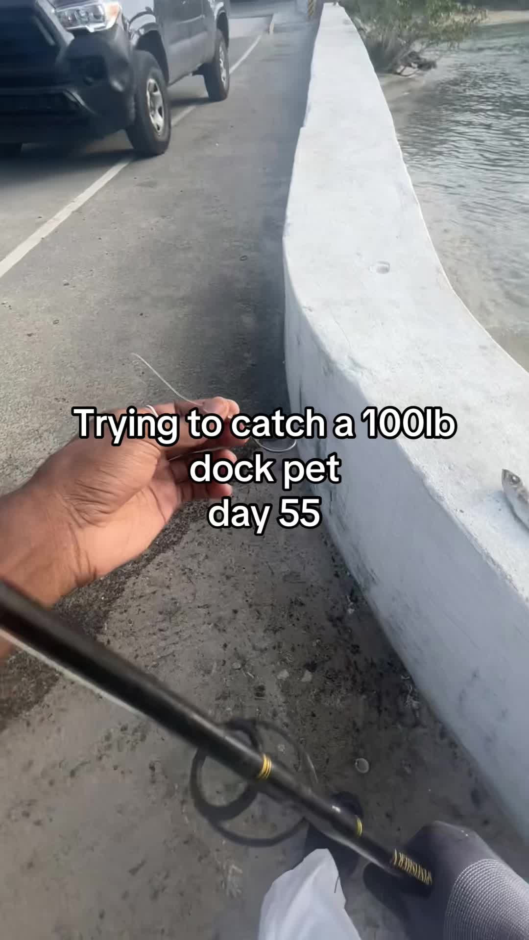 @Sandy’s bait & tackle