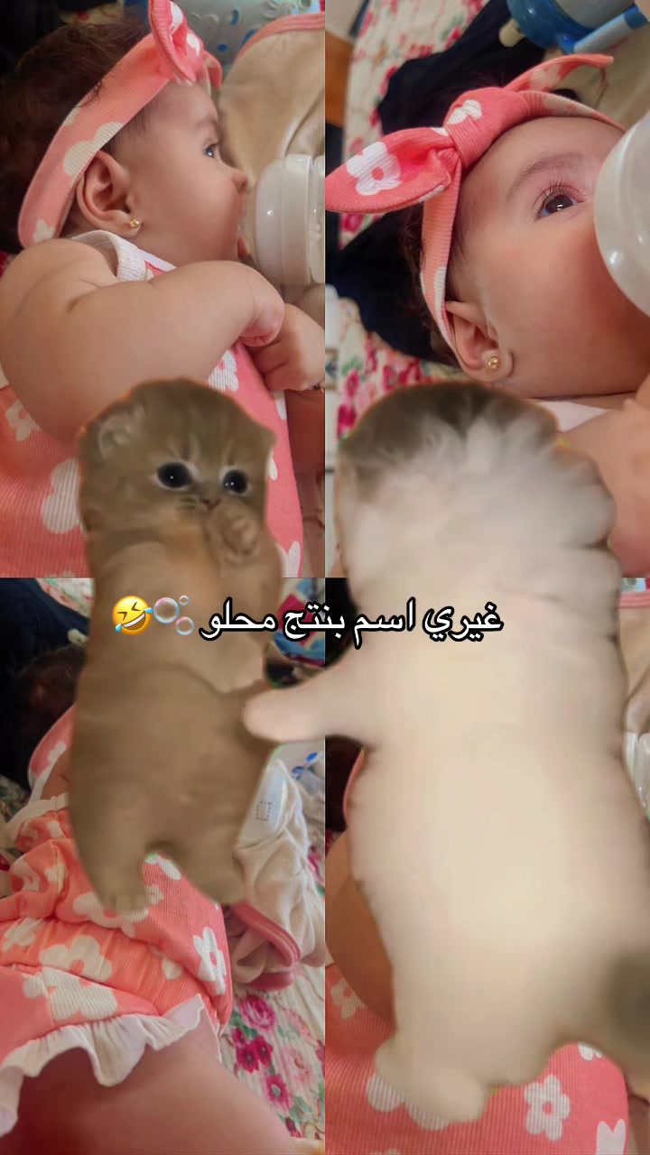 @⌯غـفـران،🦋♡