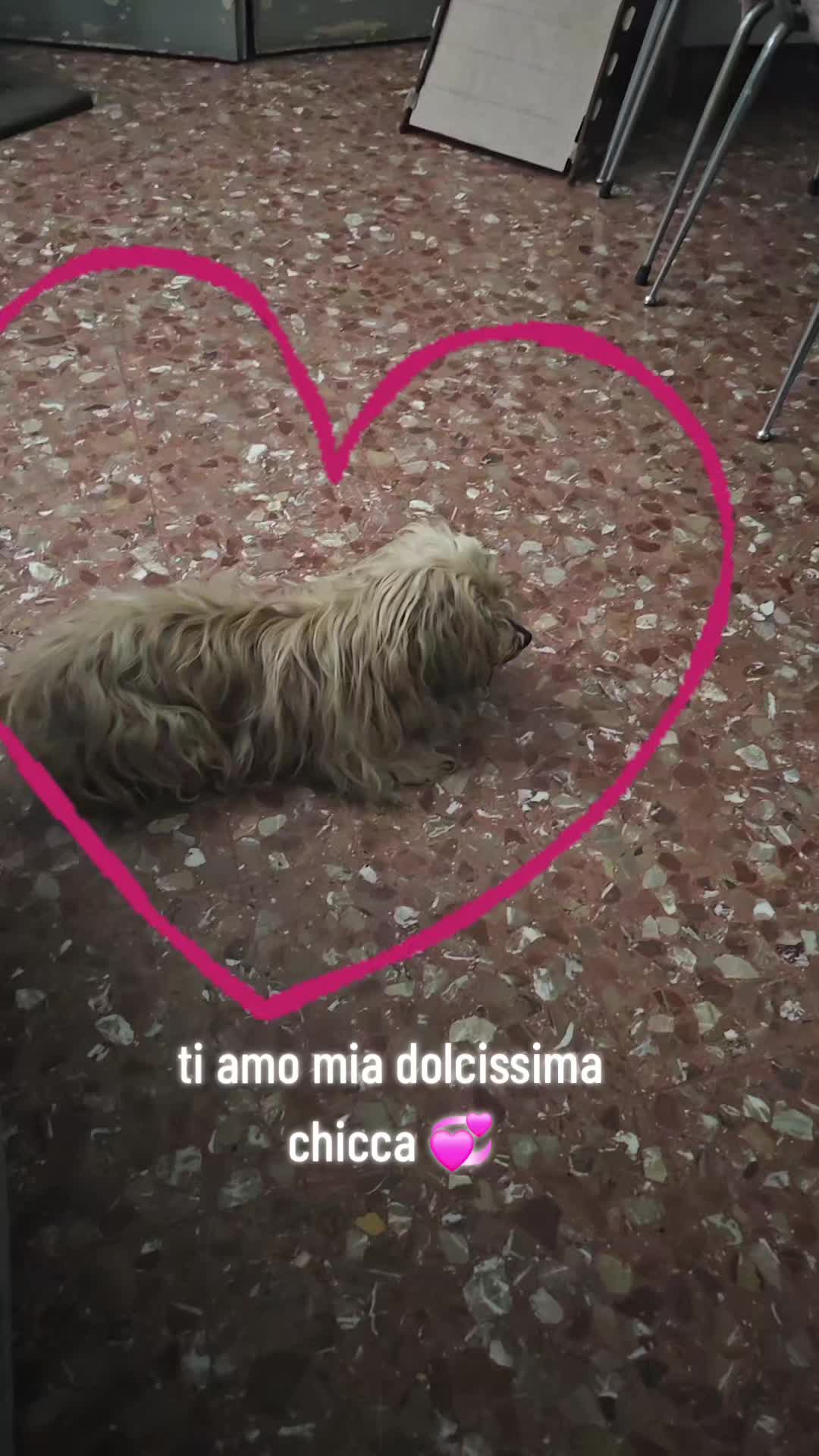 @Carol3 guerriera1458