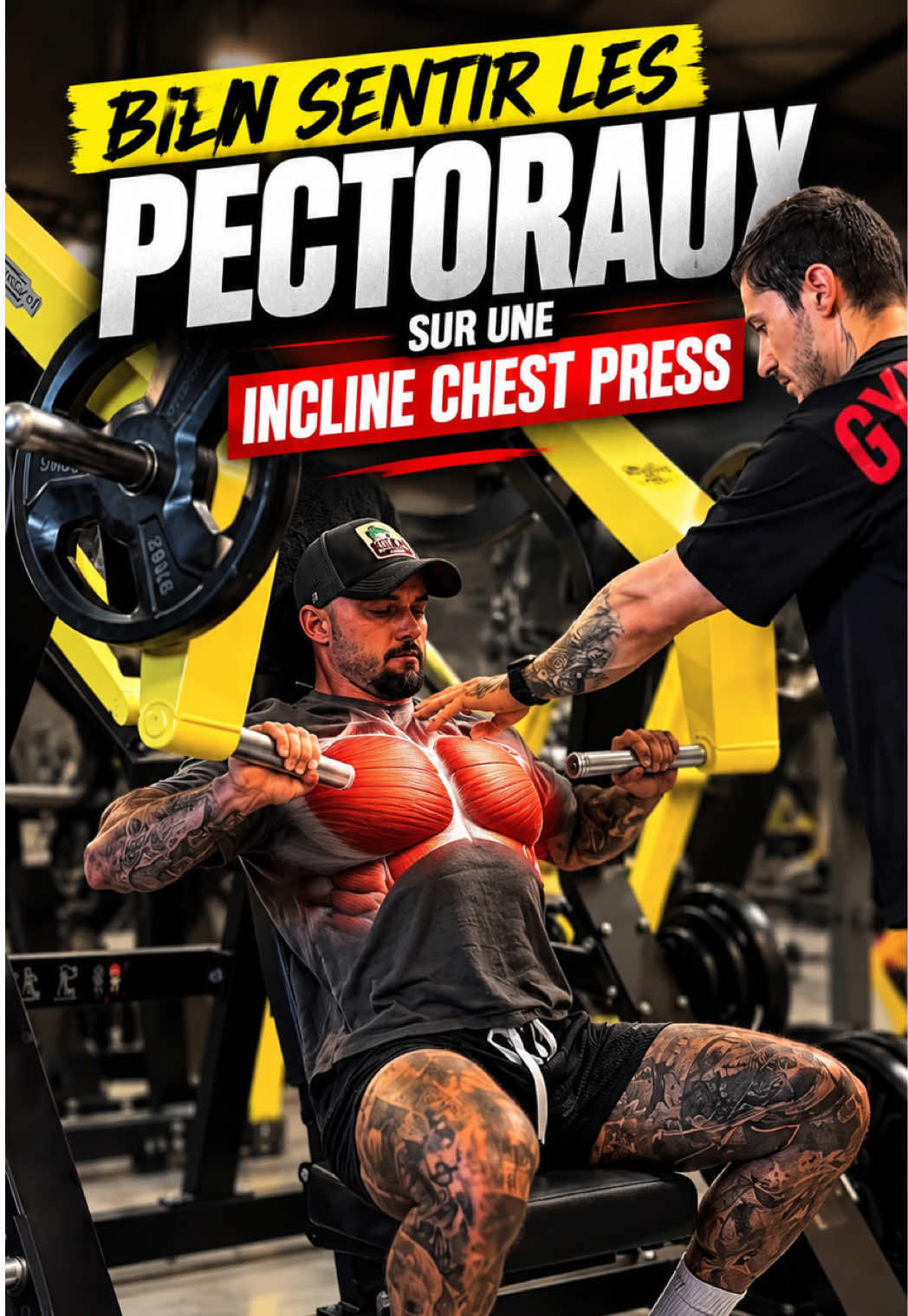 @Nicolas Loi - Personal Trainer