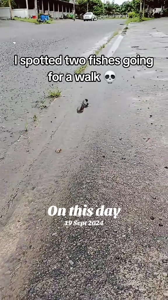 @Underrated Moments