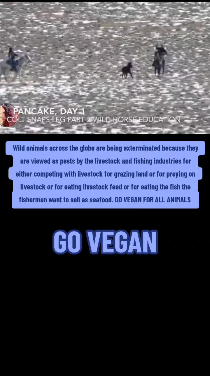 @BLIND2ABUSE