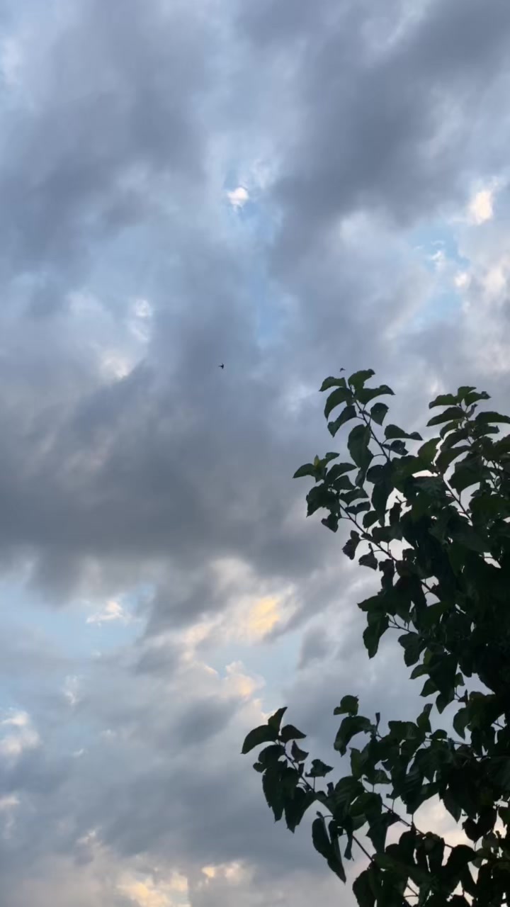 @Ramazan Kıvrak