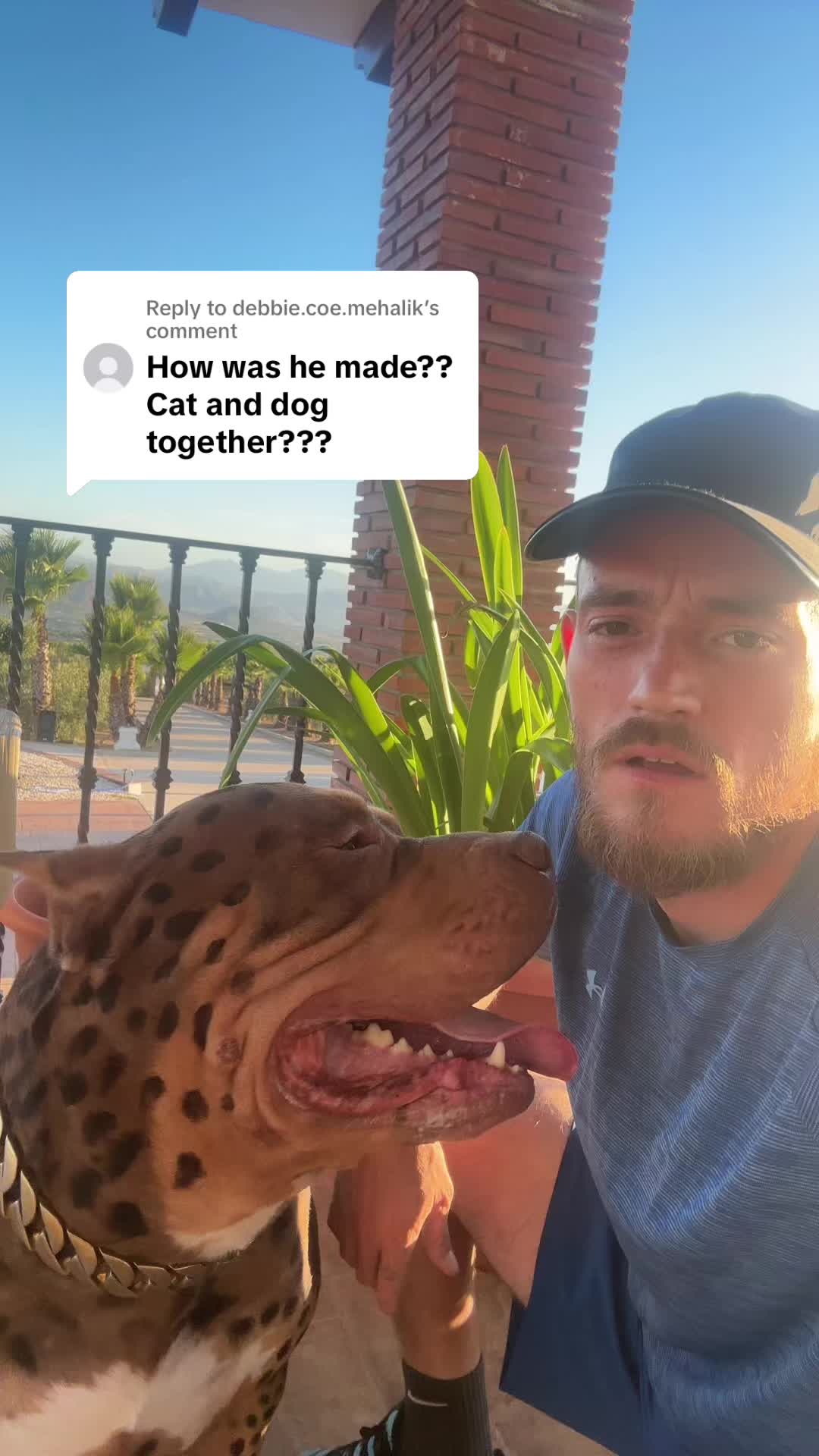 @deanthedogman1