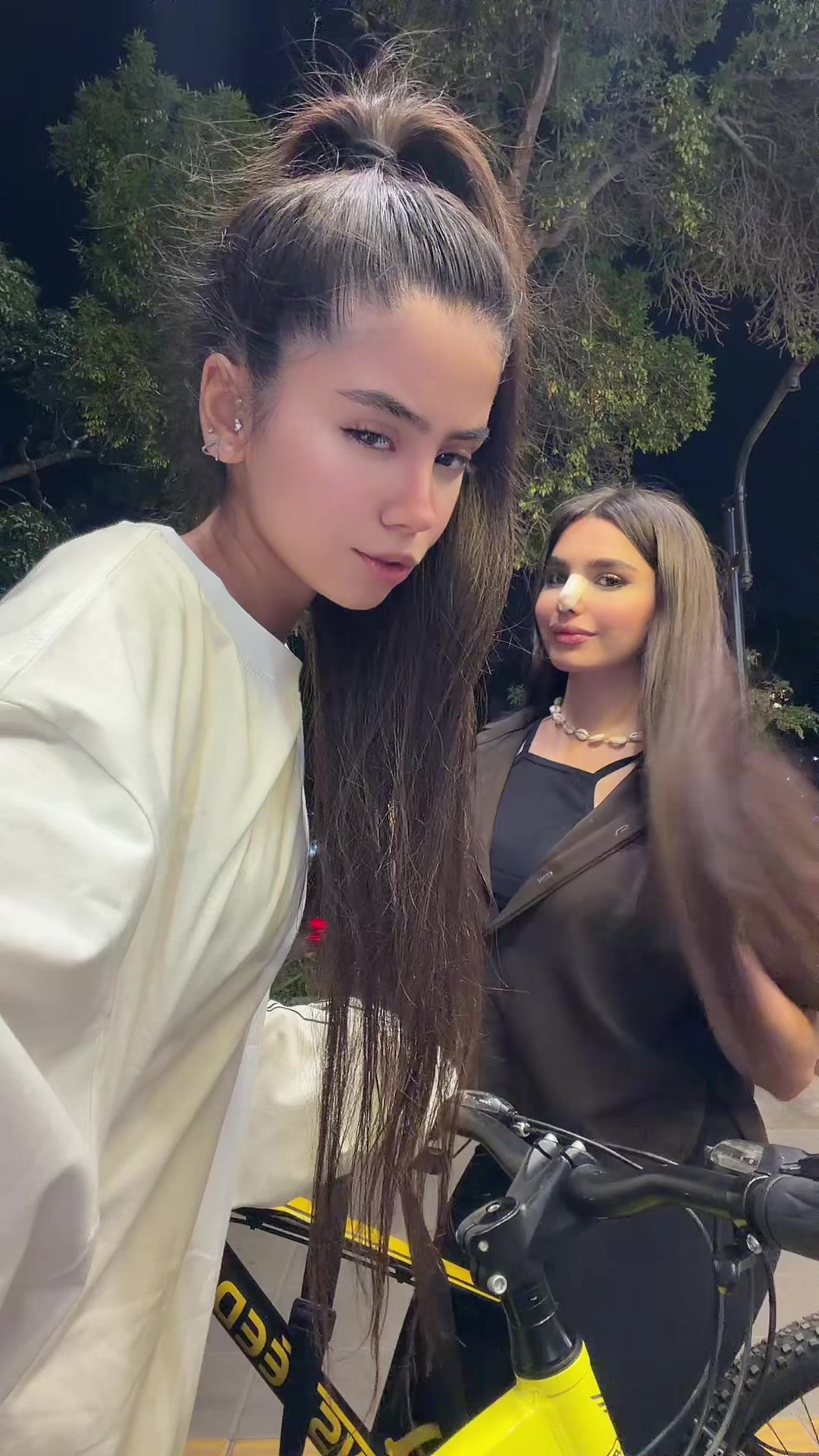 @dina_2643