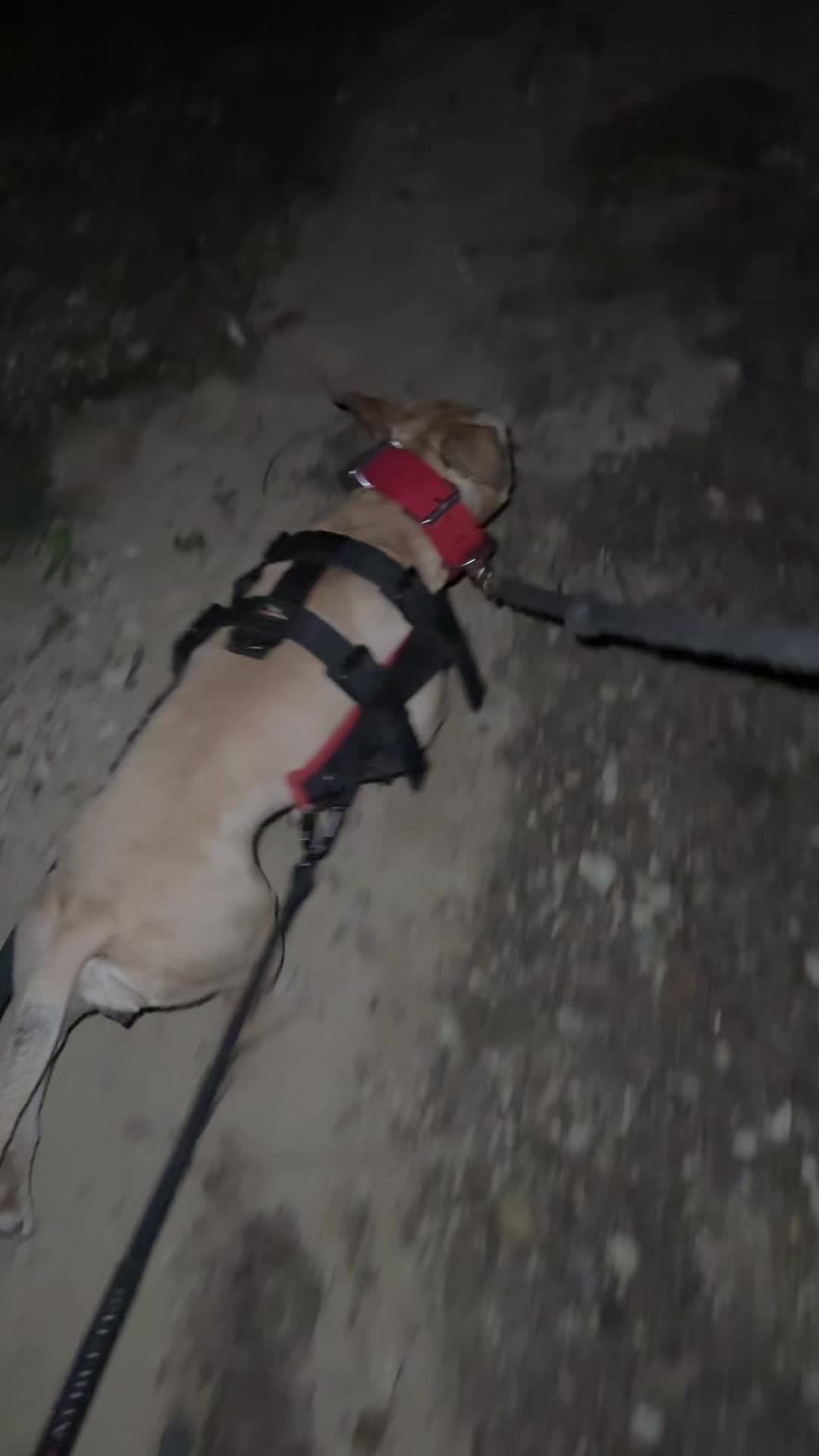 @Rocha_apbt