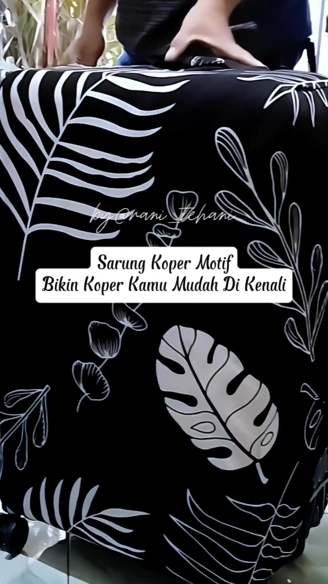 @Teh Ani