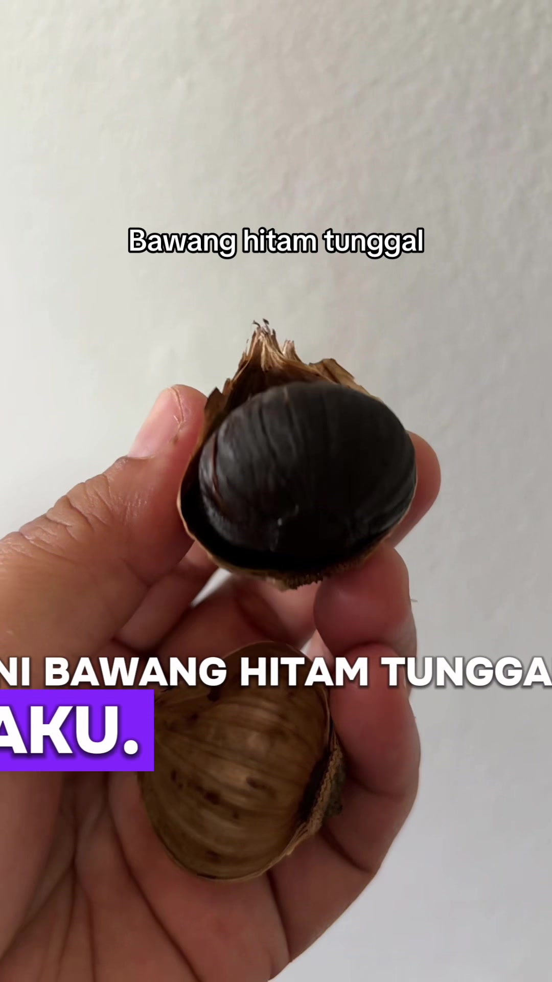 @simataduitan21