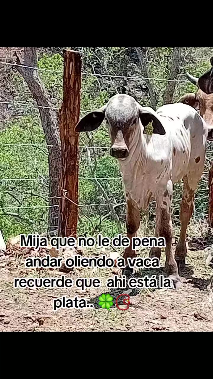 @👑🌈ALEJANDRA🌈👑