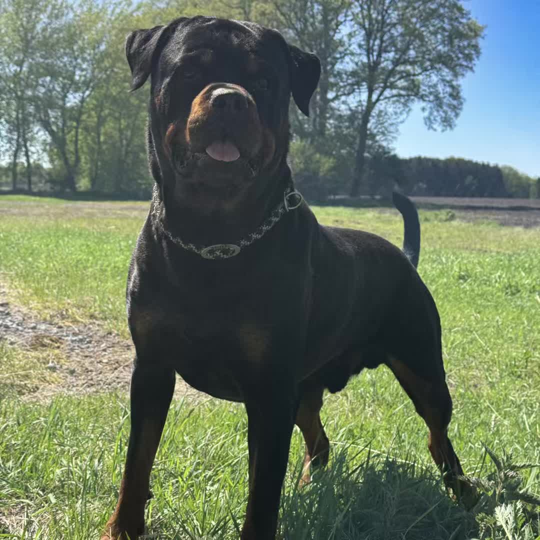 @Saphir🥰🐾