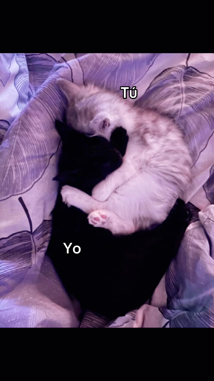 @Ximenita🫶🏻