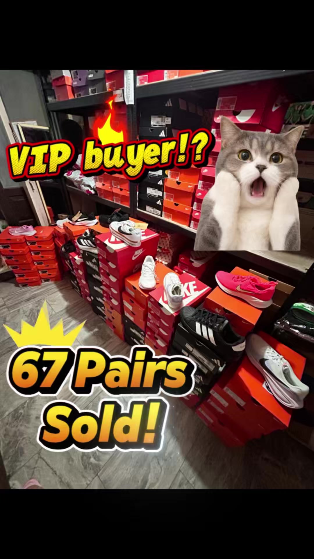 @SariKicks