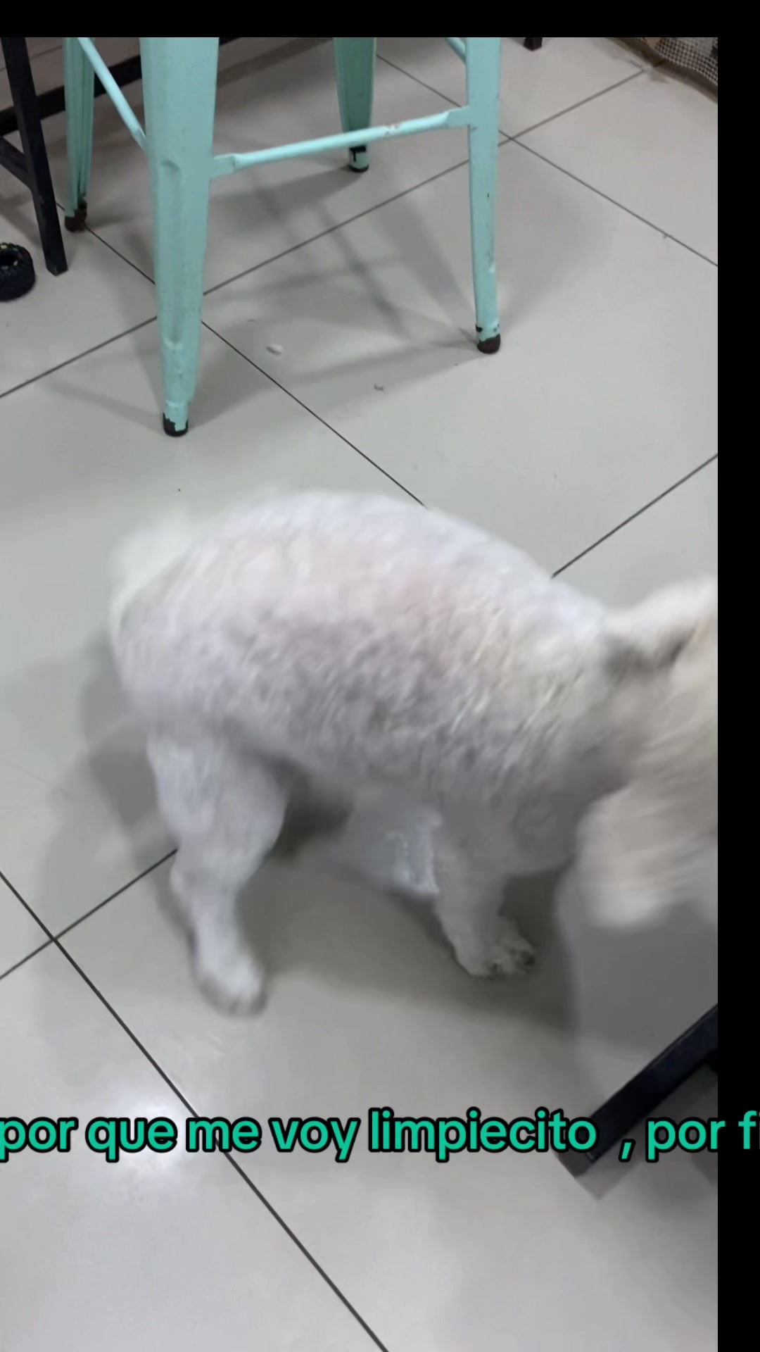 @Gran.kniche🐶