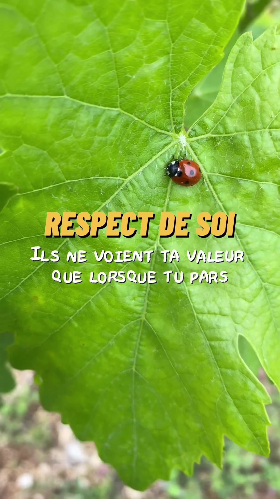 @leguerriereveille