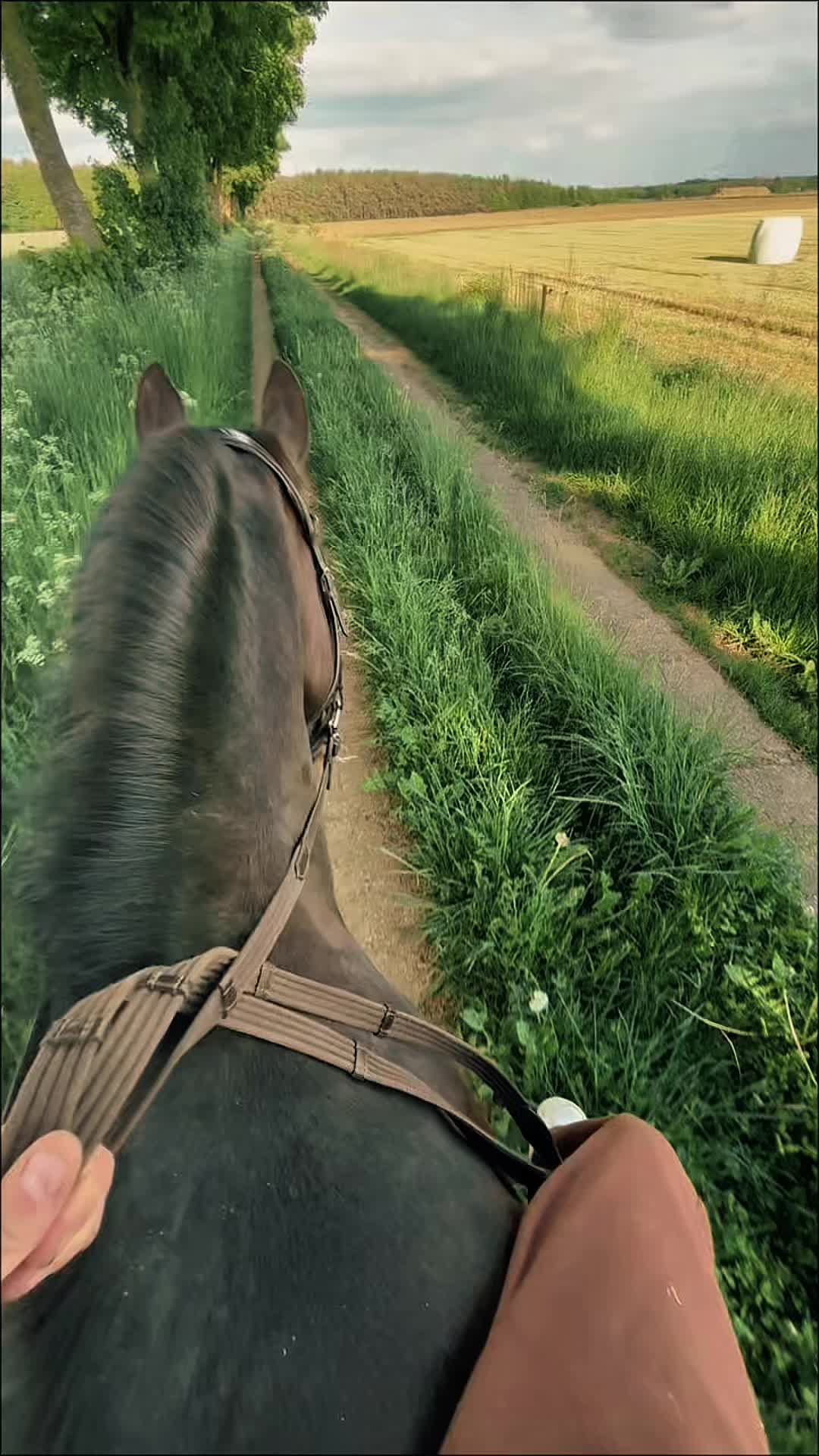@Mooni & Vanessa 🐴