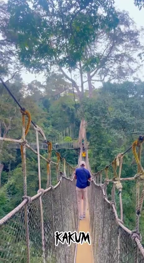 @Kakum National Park