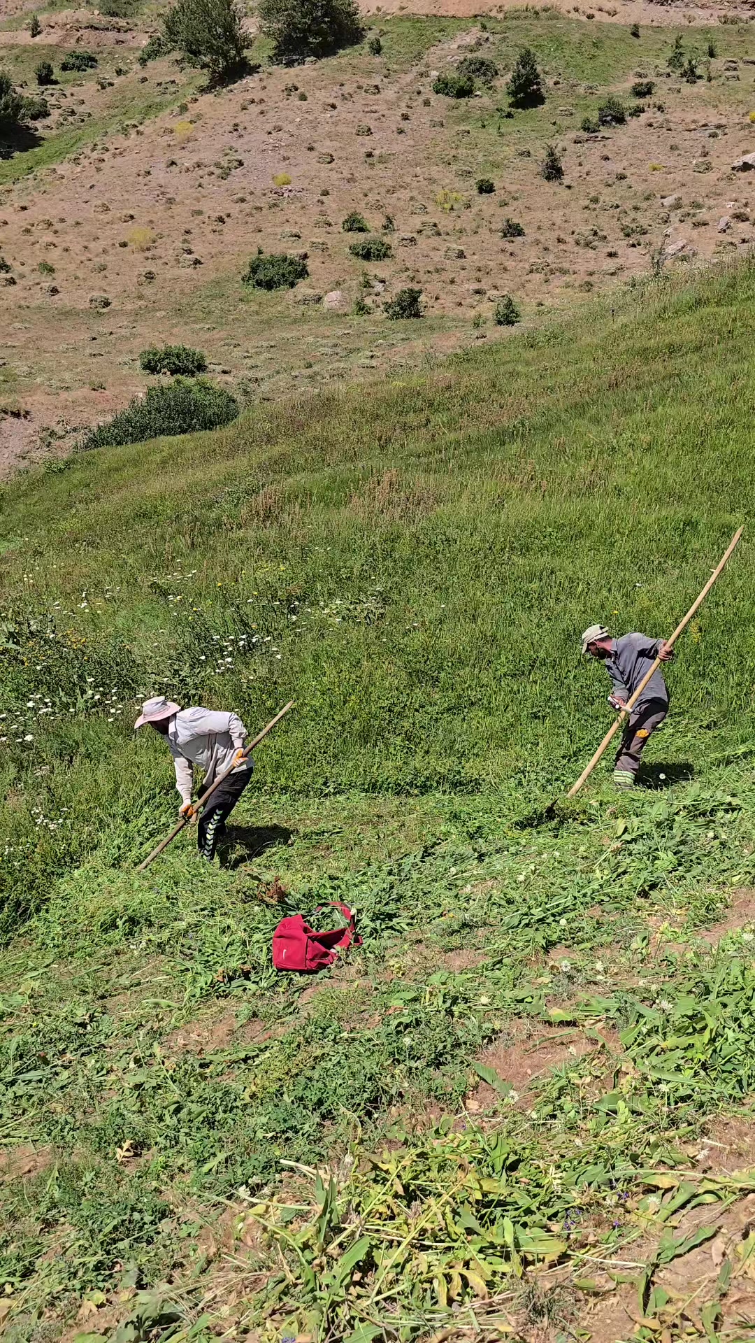@𝙨𝙖𝙢𝙥𝙖𝙨 tanıtım