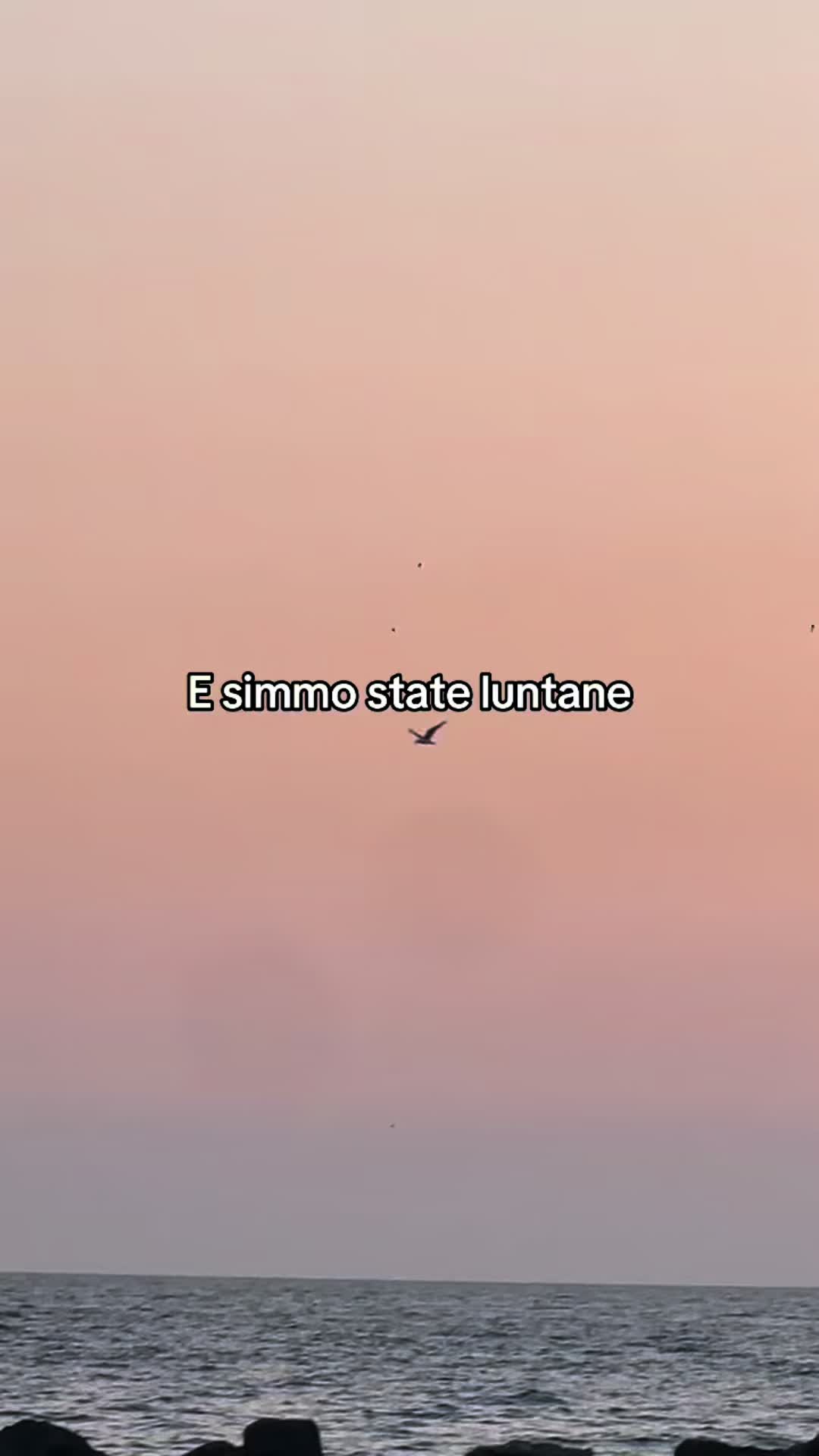 @Asia d'Esposito