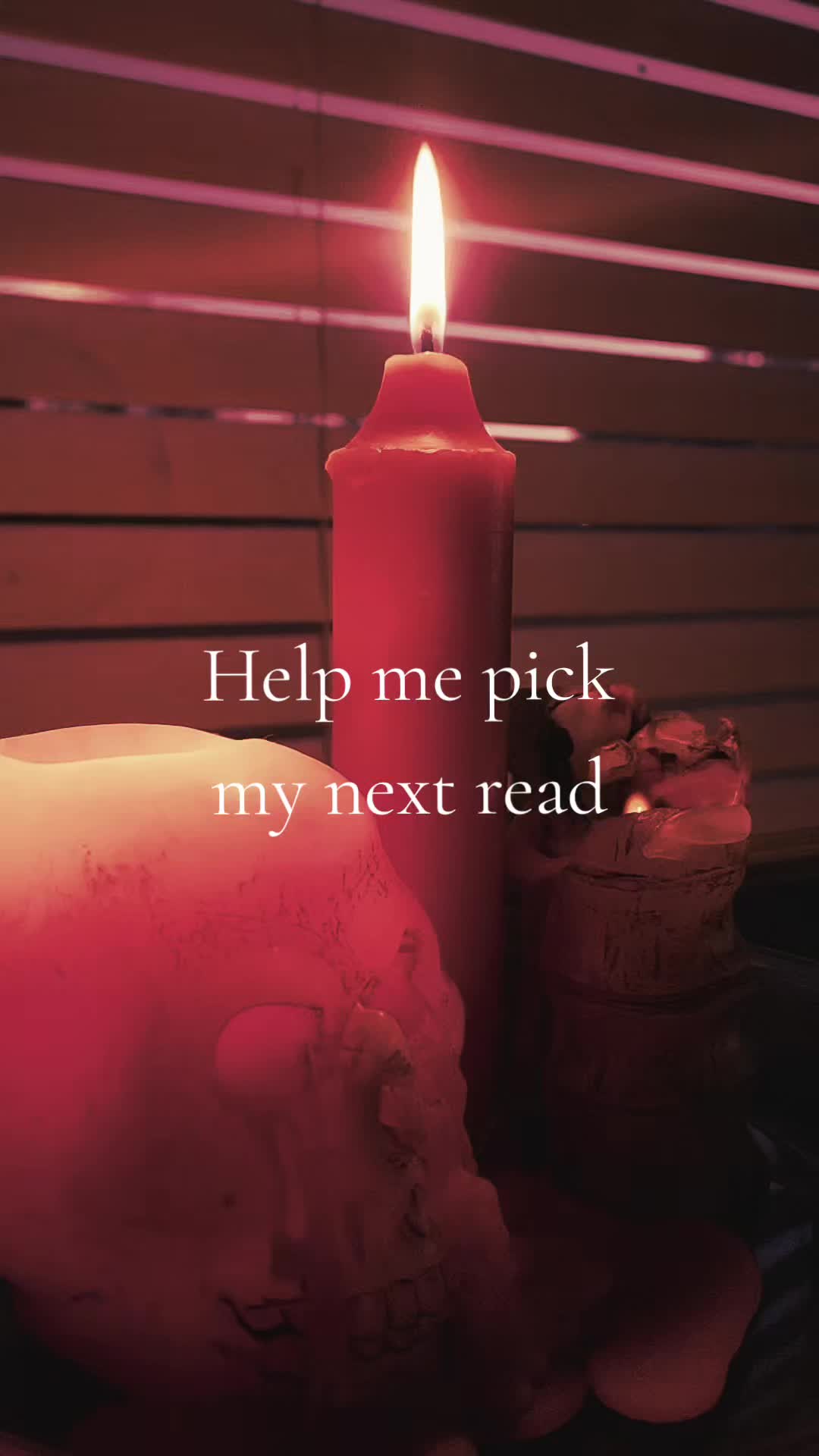 @LiteraryLunatic📚