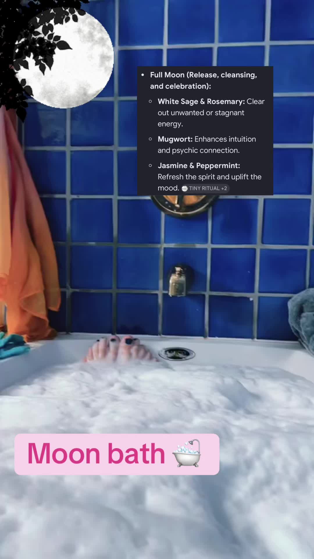 @NoBunnyButMe