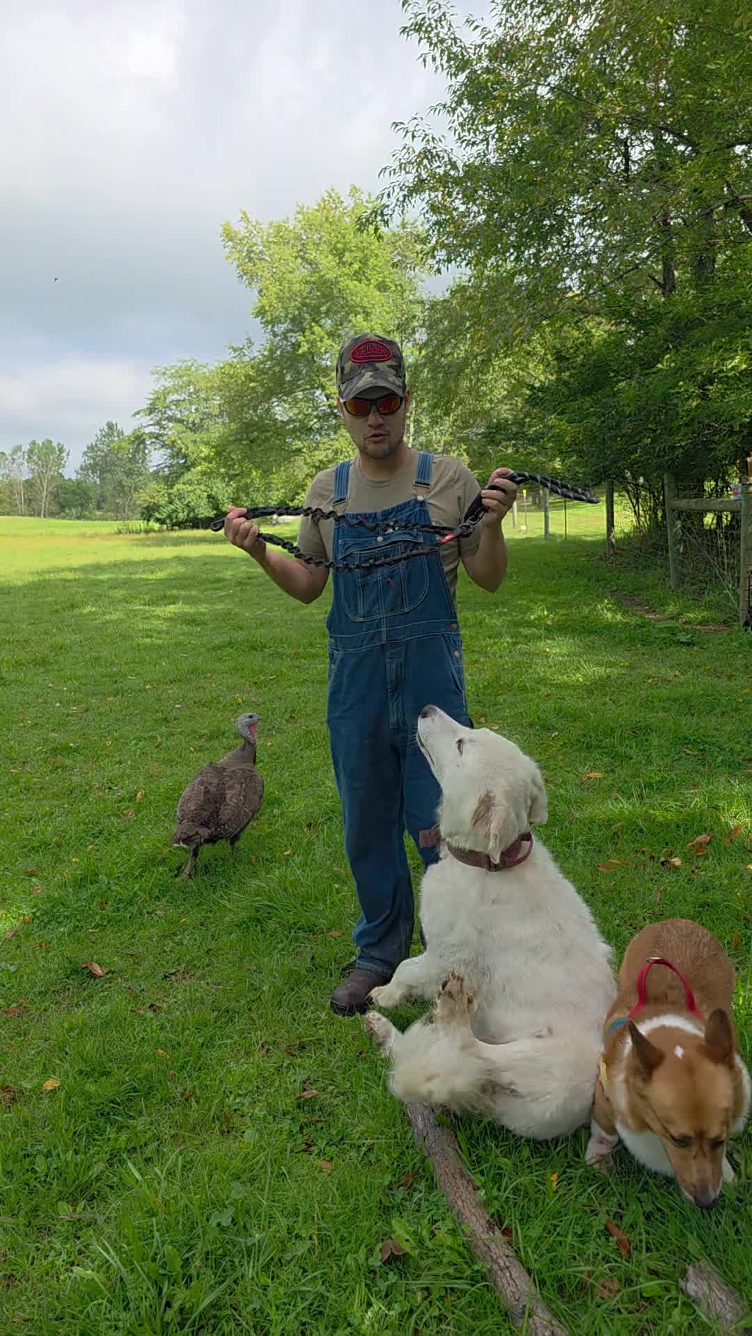 @Farmer Jake