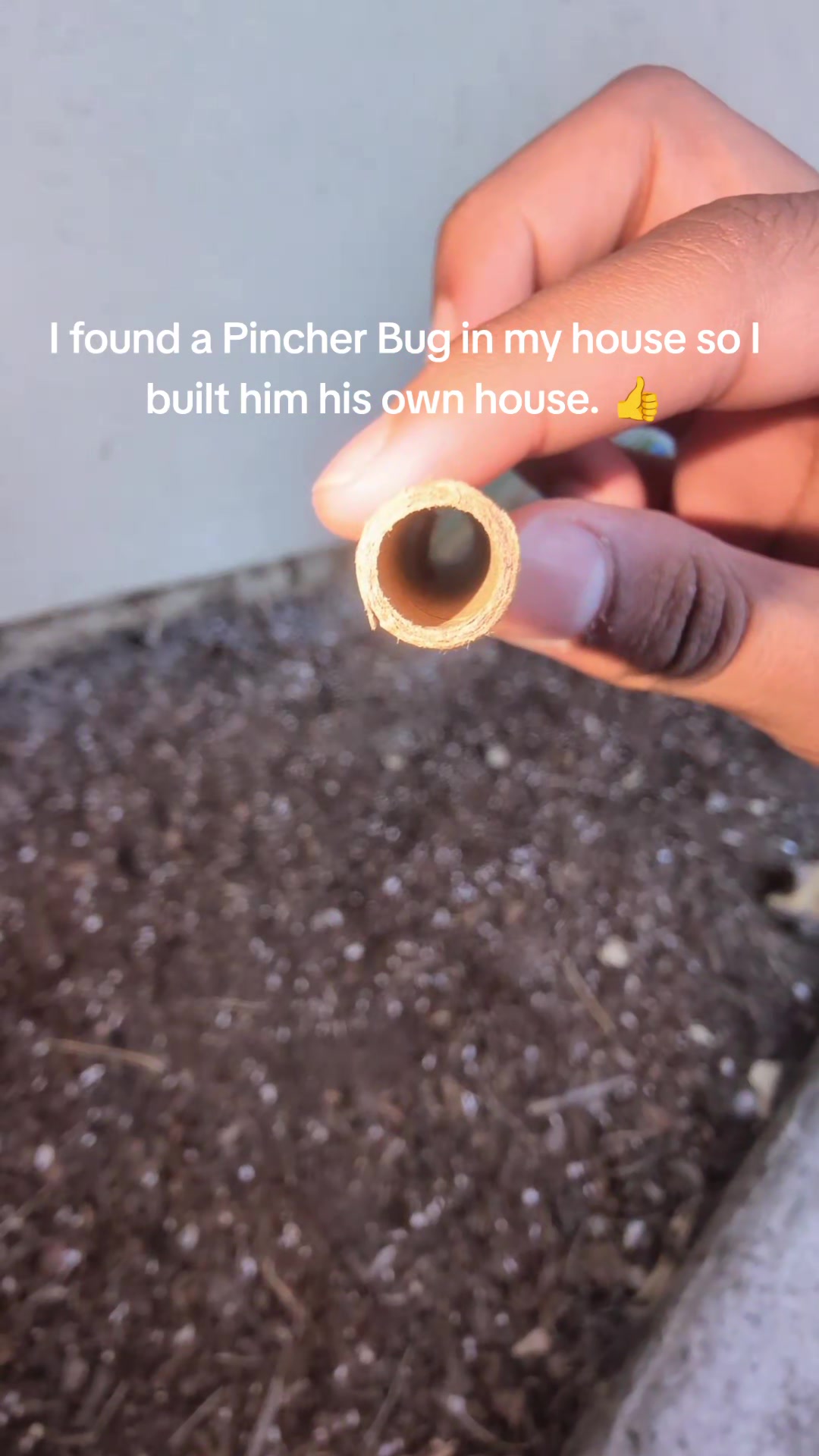 @NativeAmerican_Link