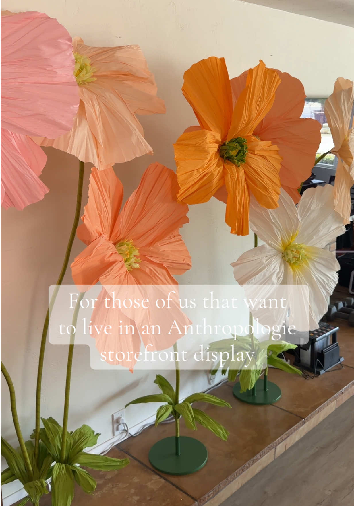 @Motherhood On Purpose {Terena}