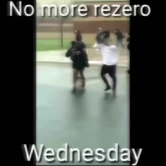 @ZaneTheCane