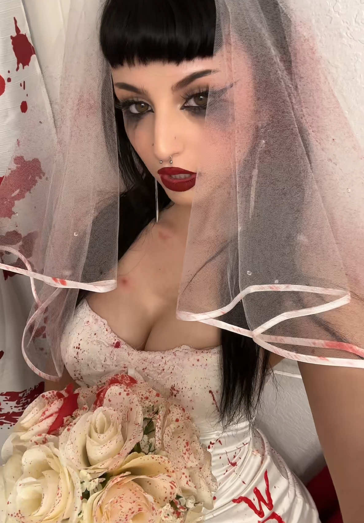 @haven 🦇