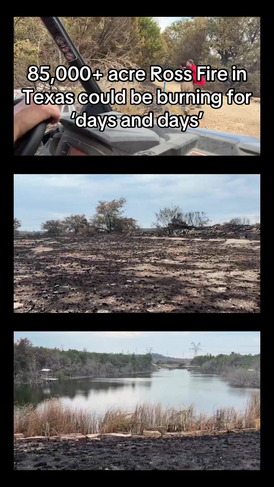@David J. Sentendrey