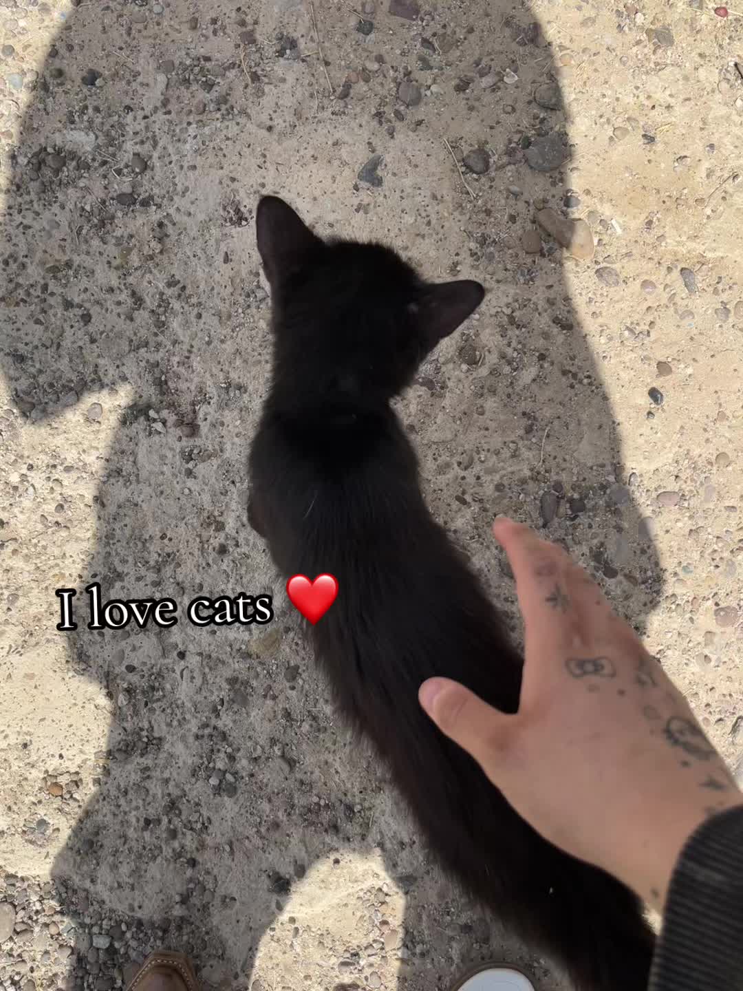 @leyvaroar