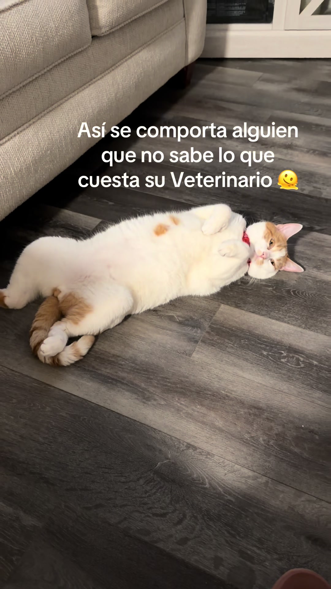 @Hanna 🐈 & Mayrie 👱&zwj;♀️