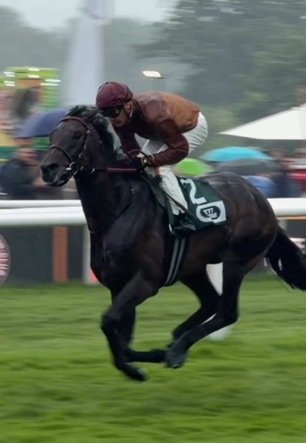 @Laura | German Horseracing