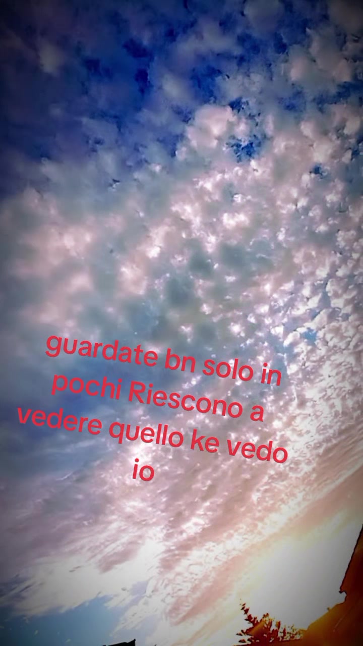 @stelladisilvio53