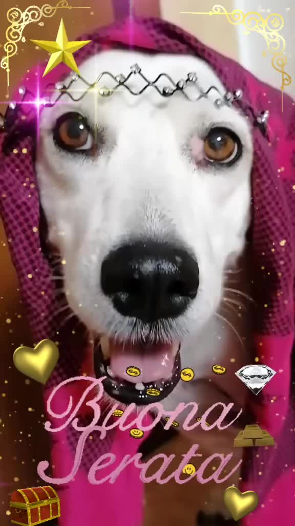 @🖤𝓗𝓸𝓟𝓮🌹