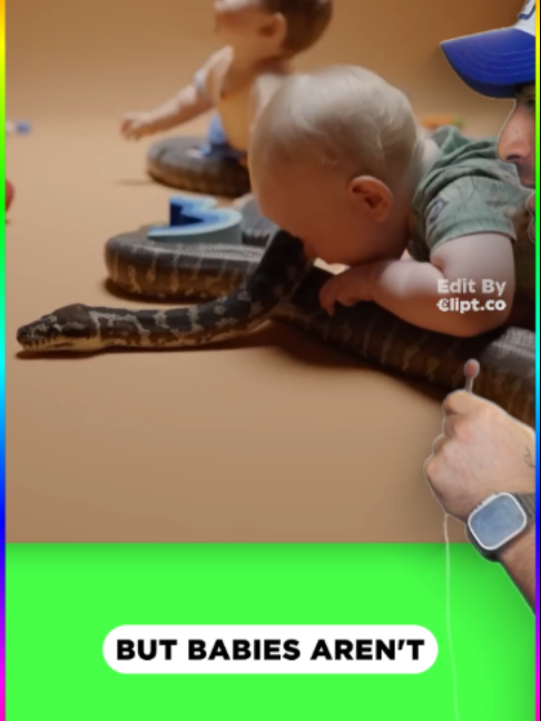 @smartnonsense