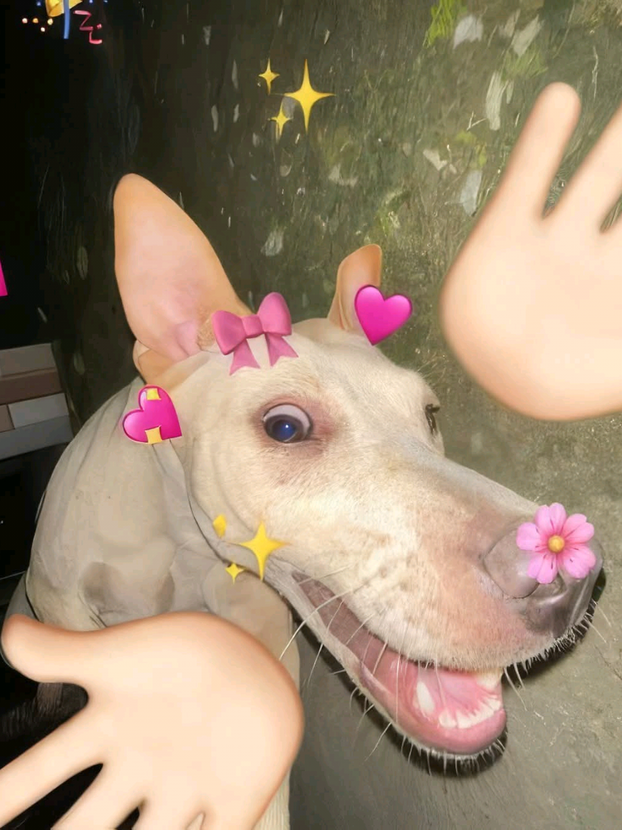 @J♡