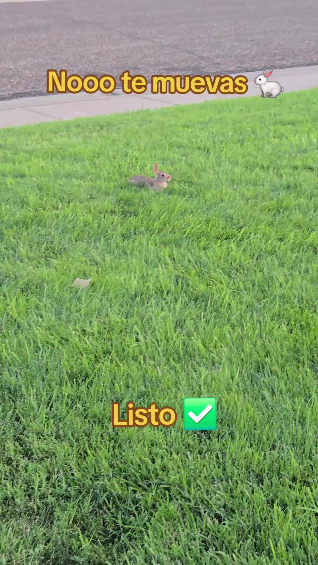 @Lily 🦋✨️😍