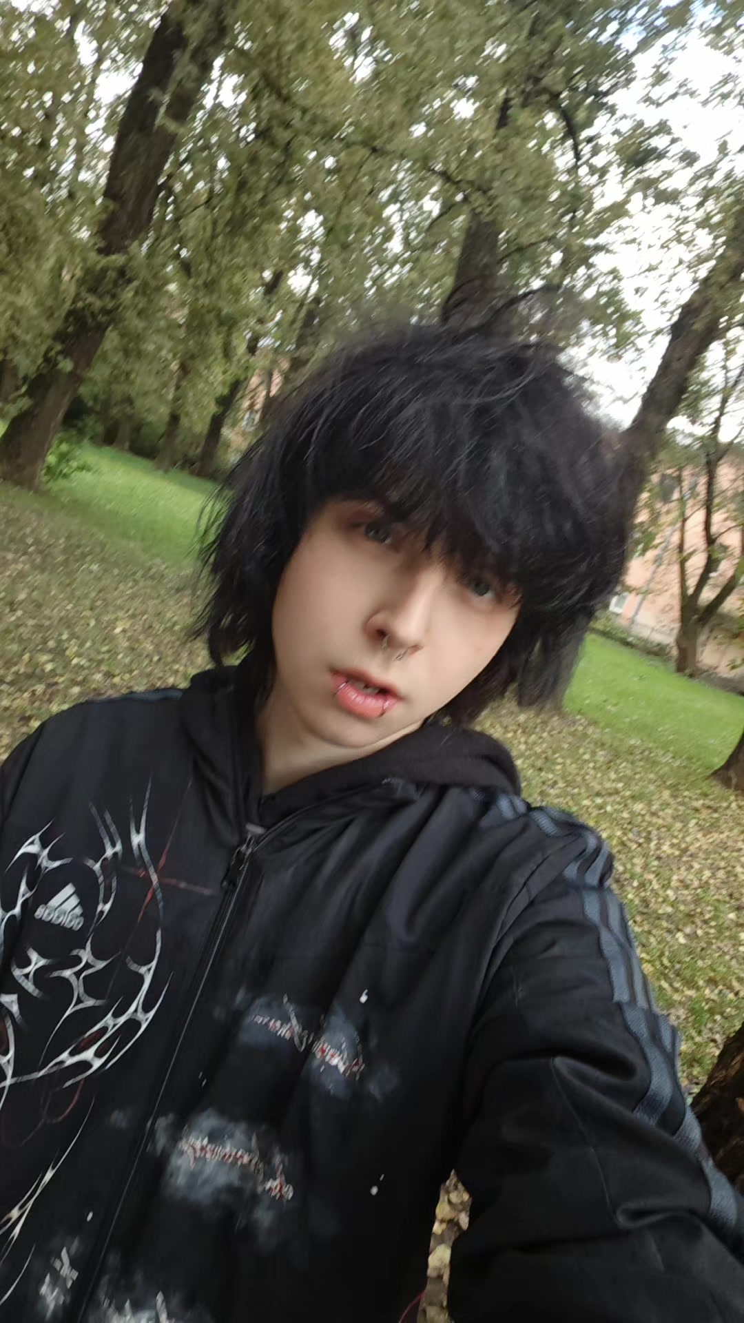 @Шизуро