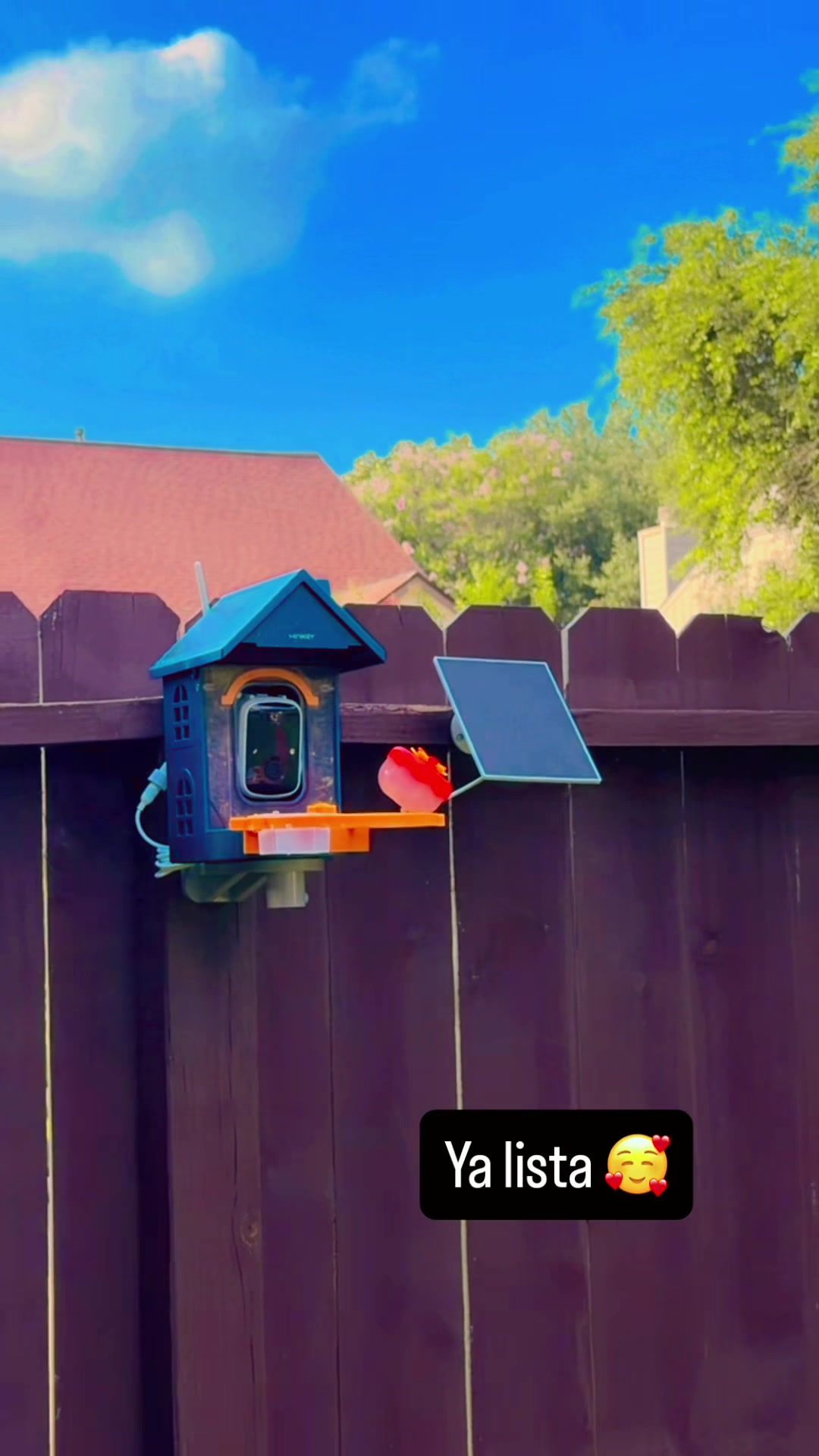 @Ojitos
