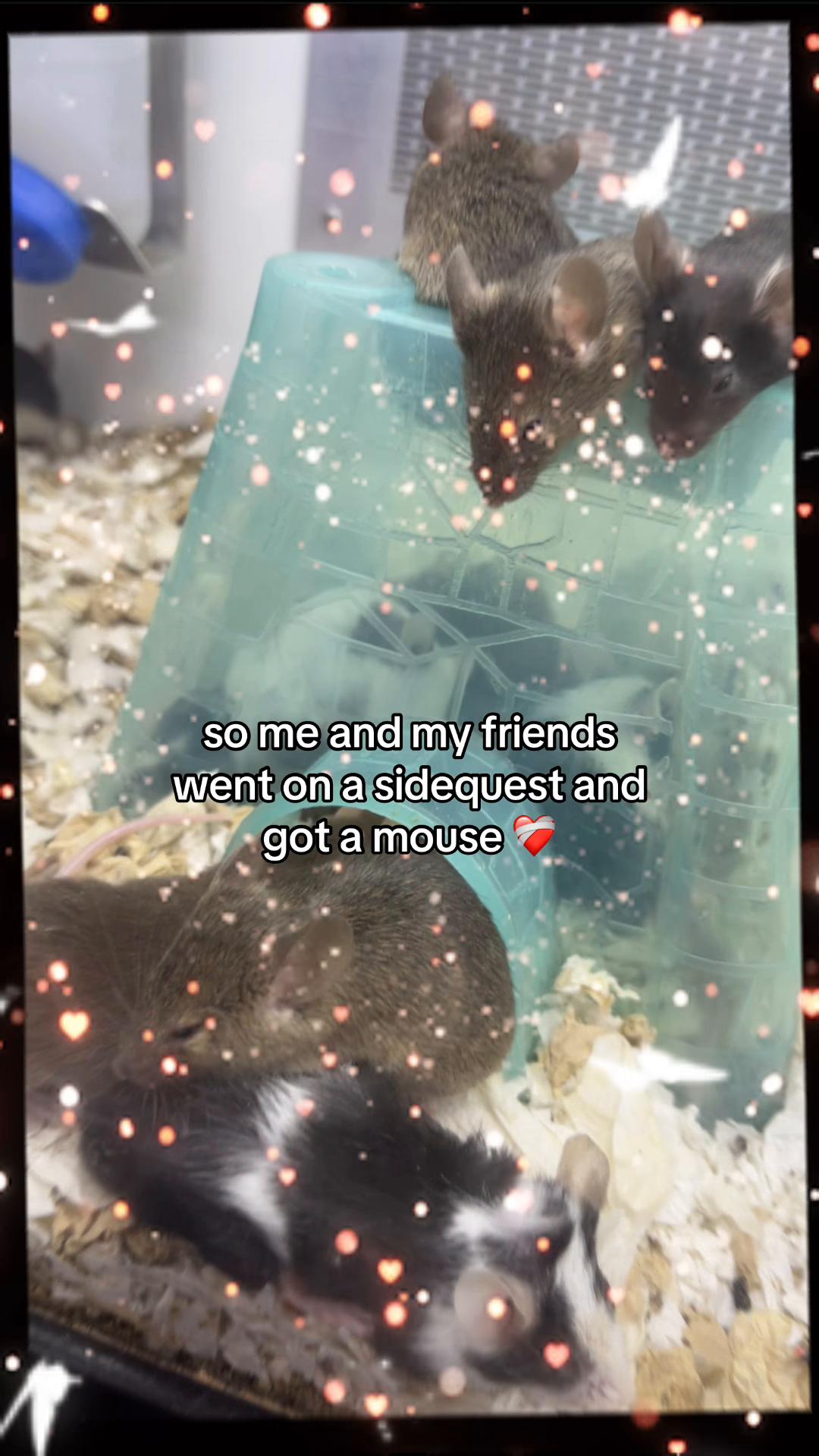 @◞