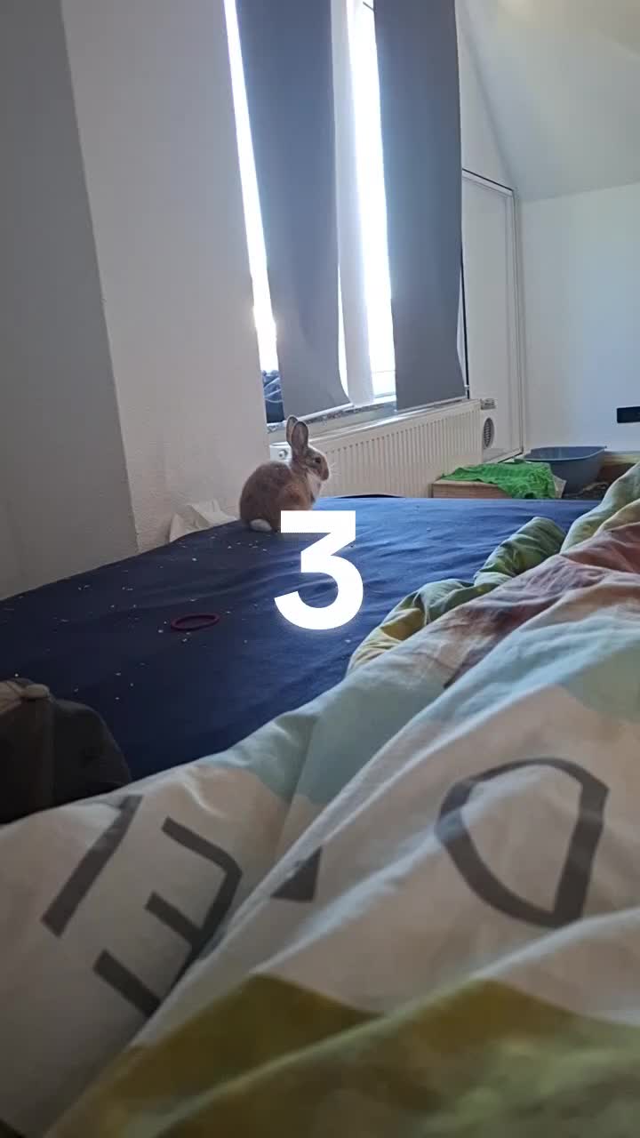 @offenundfrech