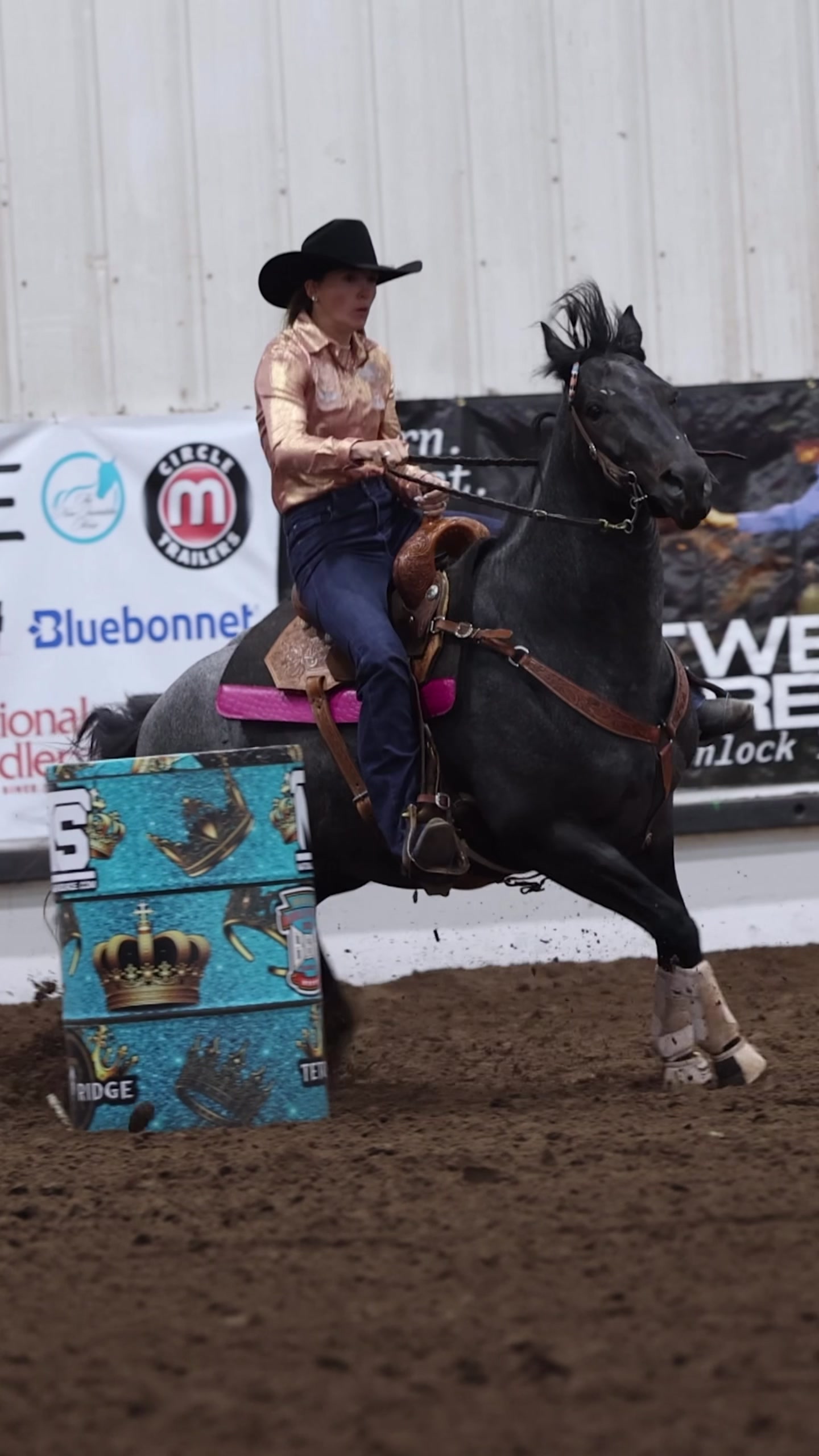 @Between The Reins