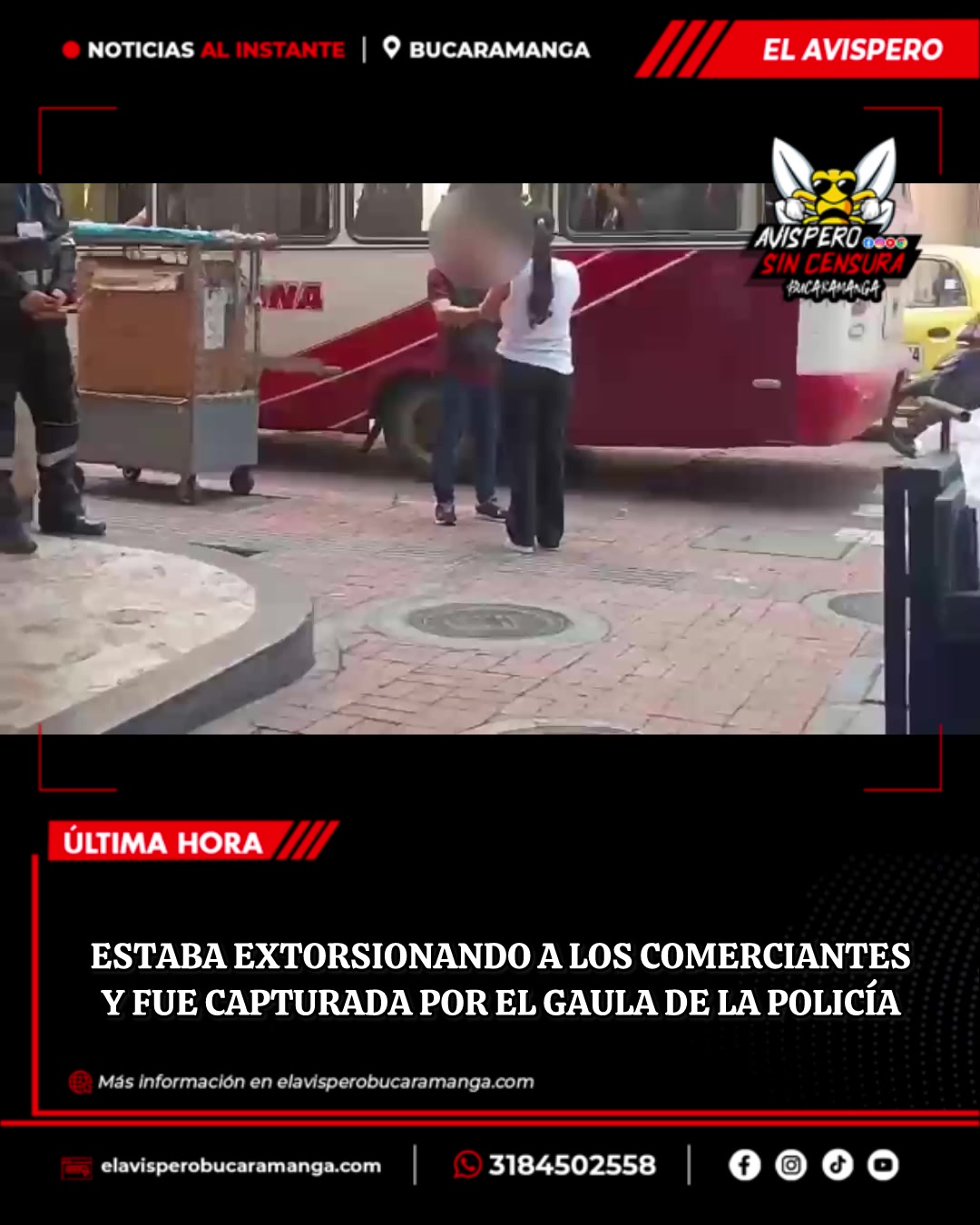 @avisperobucaramanga